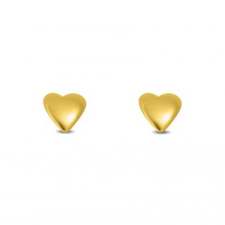 Heart Design Earring