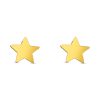 TWINKLE STAR STUD EARRING